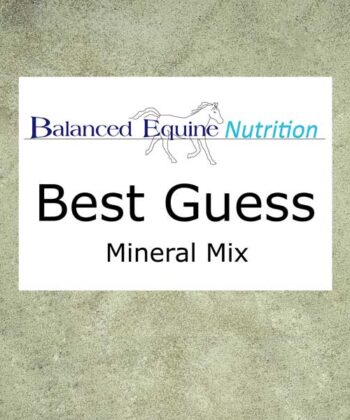 Balanced Equine Nutrition "Best Guess" 1kg