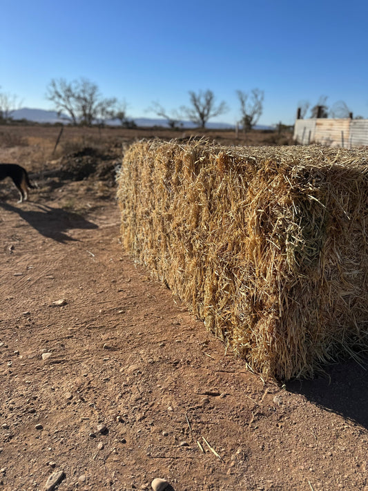 Oaten Bale - 6x4 square approx 500kg