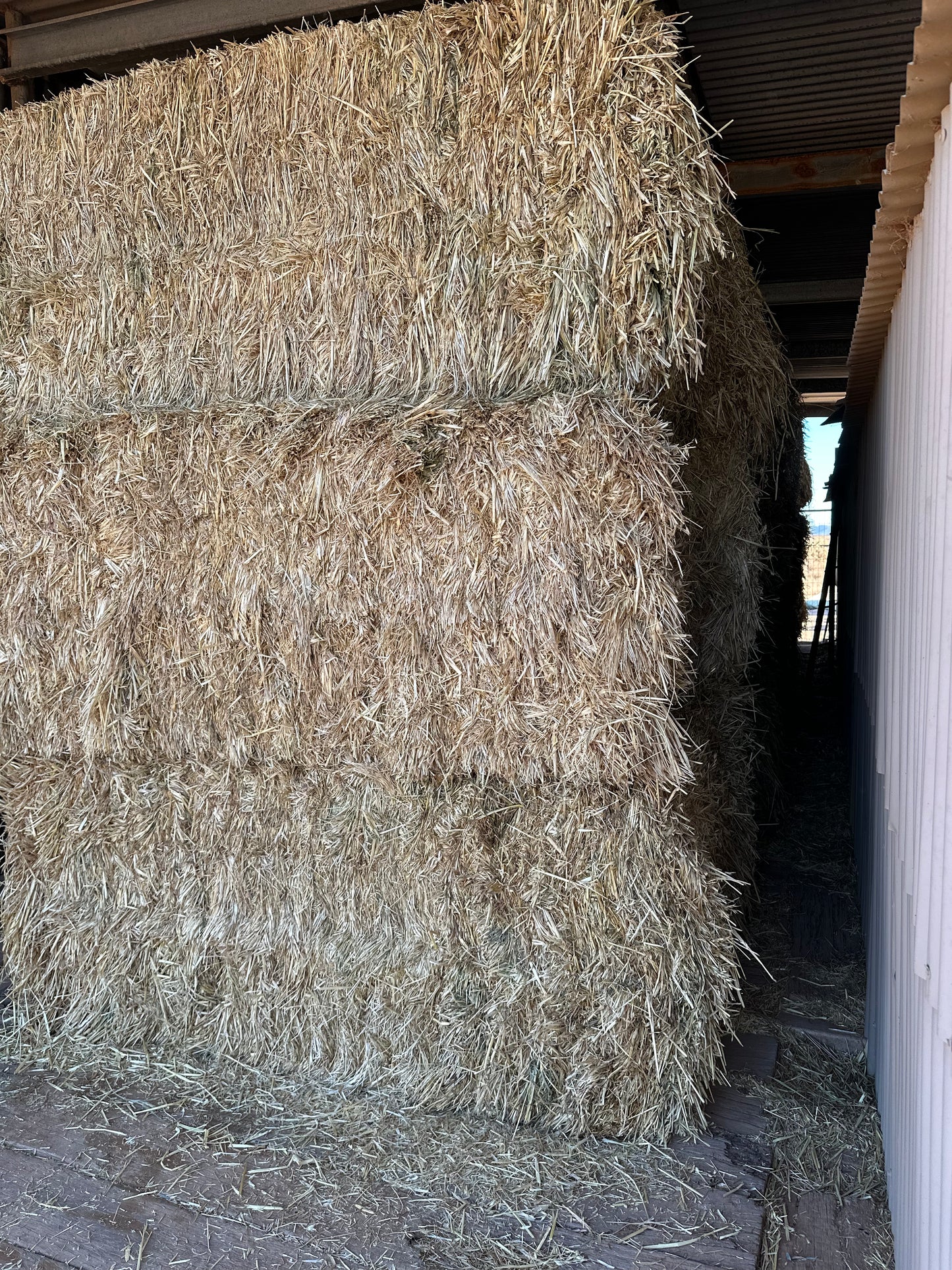 Oaten Bale - 6x4 square approx 500kg