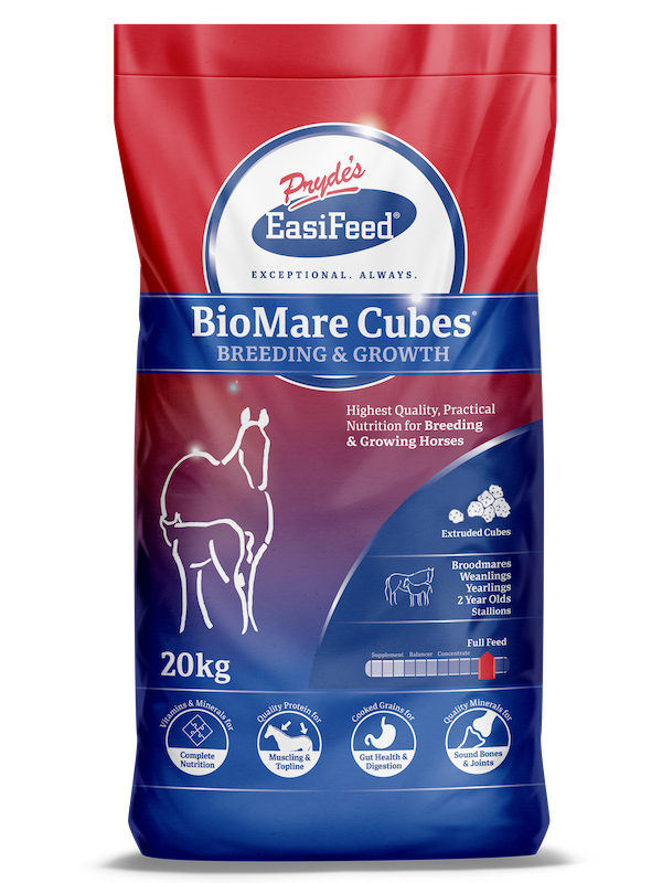 Prydes BioMare Cubes 20kg