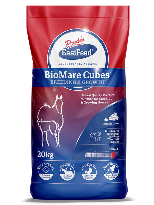Prydes BioMare Cubes 20kg