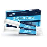 KER B-Quiet Paste 2x30g
