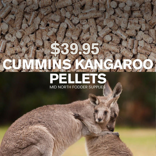 Cummins Kangaroo Pellets 20kg
