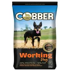 Cobber Working Dog