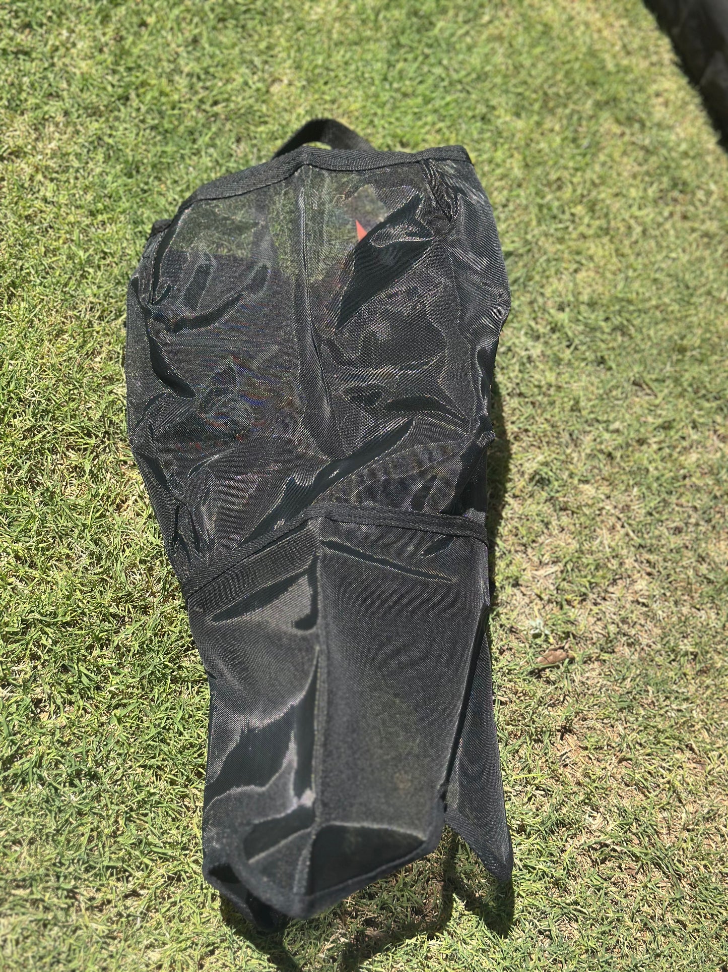 Fly Veil - Black - WB - Nose