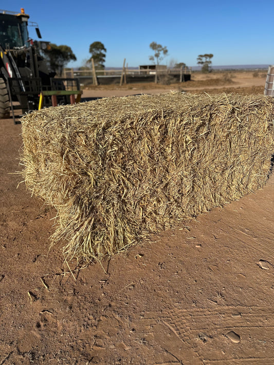 Oaten Bale - 6x4 square approx 500kg