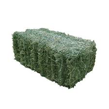 Lucerne Bale Small