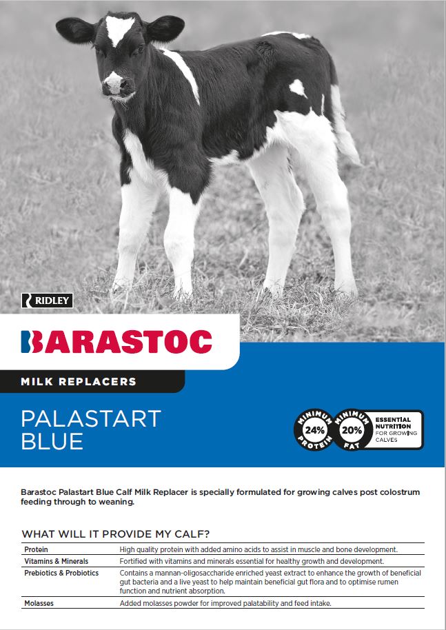 Barastoc Palastart Blue