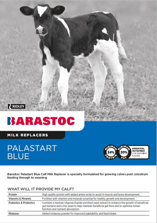 Barastoc Palastart Blue