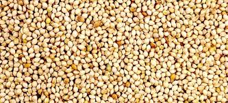 White French Millet 20kg